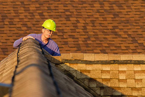 Best Roof Maintenance Services  in Burlington, ND